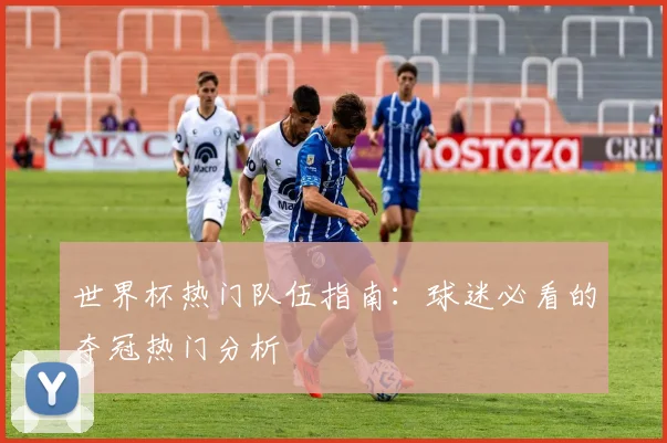 世界杯热门队伍指南:球迷必看的夺冠热门分析